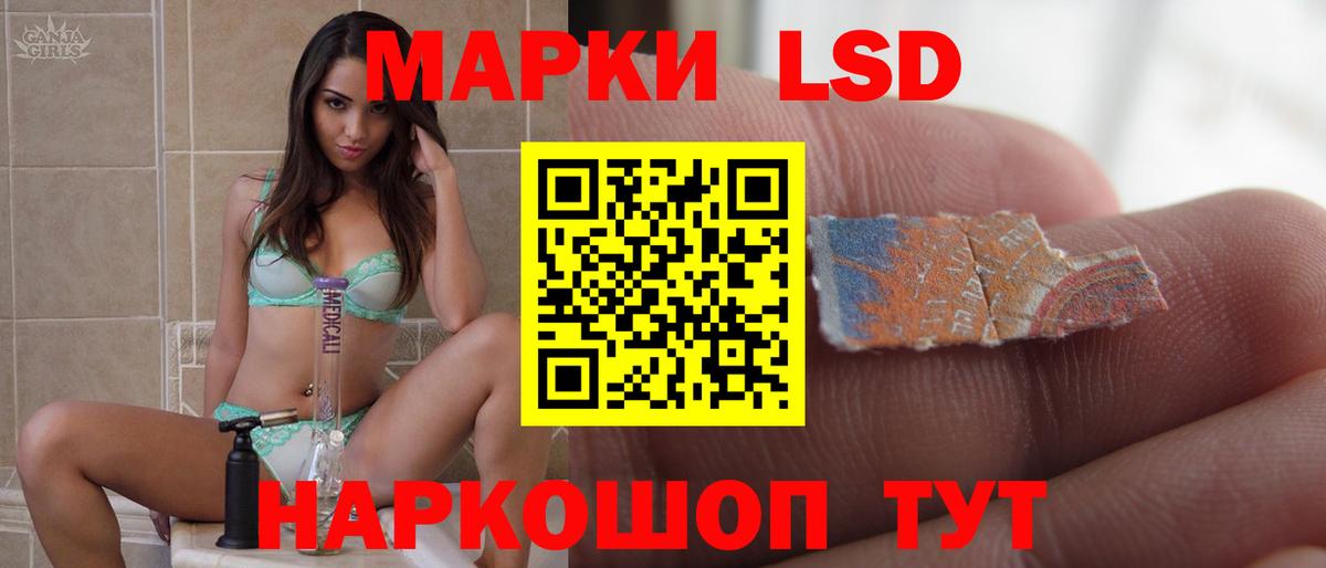 Бошки Шишки Коряжма