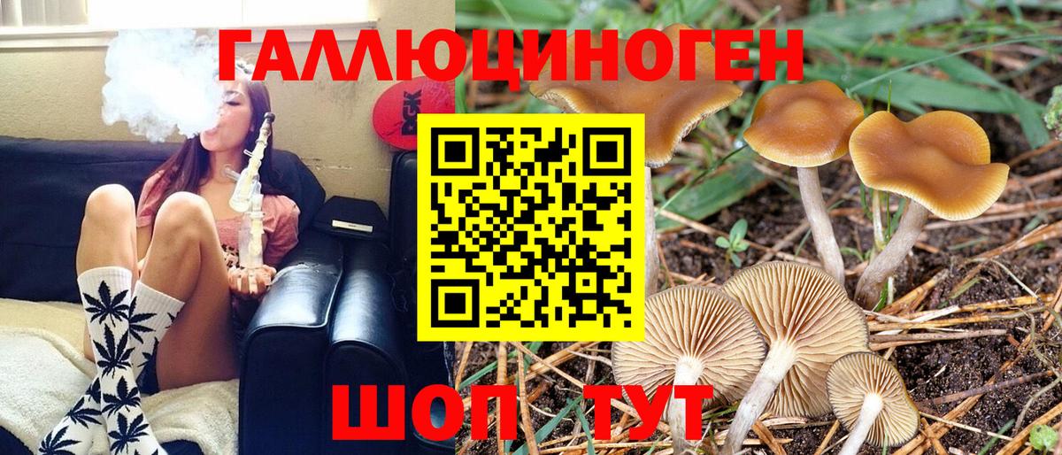 Галлюциногенные грибы мицелий Коряжма